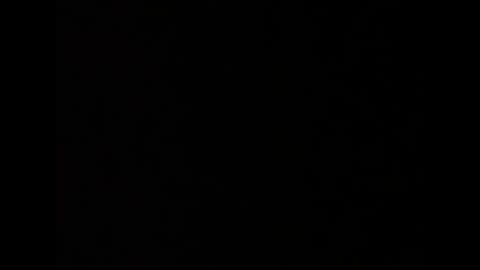 barbarosarslanlar online show from September 20, 12:05 pm