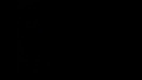 barbarosarslanlar online show from September 10, 11:25 pm