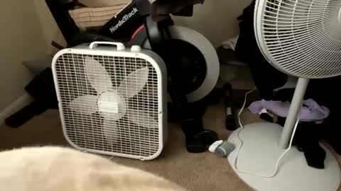 Snapshot of bdavid4200 chatting on January 24, 8:43 pm bdavid4200 online show from January 24, 8:43 pm