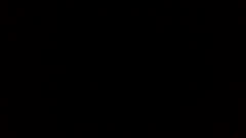 beef_sperm online show from November 29, 12:29 pm