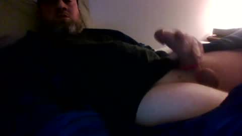 beekstar online show from April 5, 12:12 pm