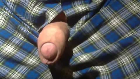  Reservoir Dogs online show from December 30, 3:14 am