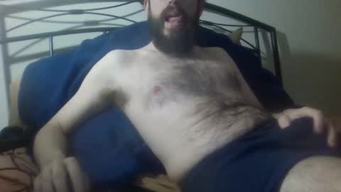 bibotguy online show from December 12, 10:52 pm