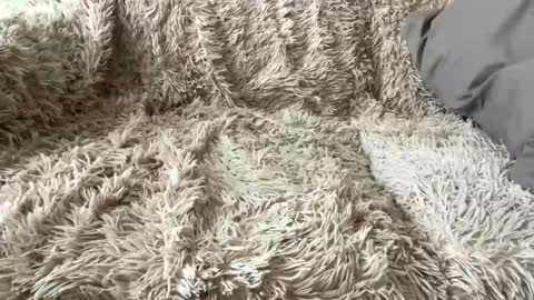 Big dick G online show from April 7, 12:27 pm