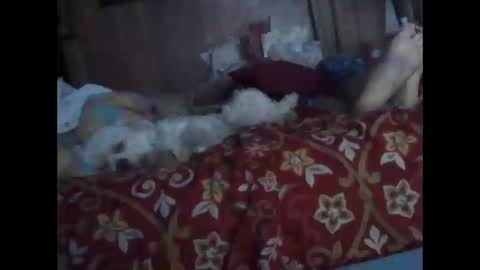 Snapshot of bigbenidick1 chatting on October 20, 1:31 am BB online show from October 20, 1:31 am