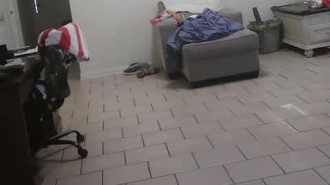 Craig online show from February 13, 10:04 pm