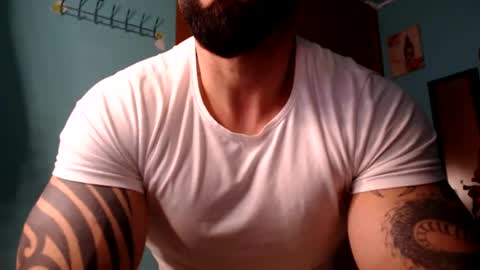 BigStallion online show from February 8, 12:06 am