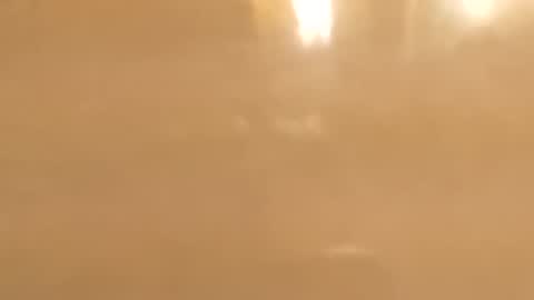 DeePee online show from February 17, 1:37 am