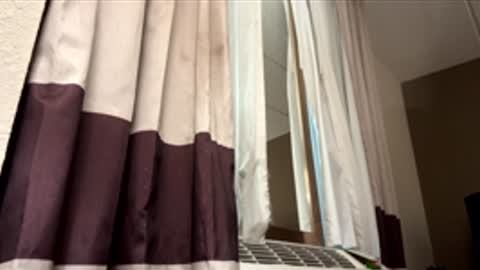 bigtxsissy online show from January 16, 4:48 am