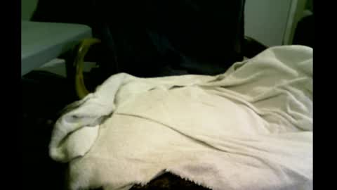 bimale4hotphuk online show from February 20, 9:44 am