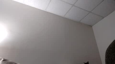 blahblam420 online show from February 5, 7:50 am