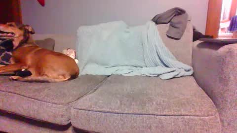 blaw_1321 online show from December 31, 3:01 am