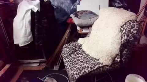 blindsurfer780299 online show from February 8, 5:35 am