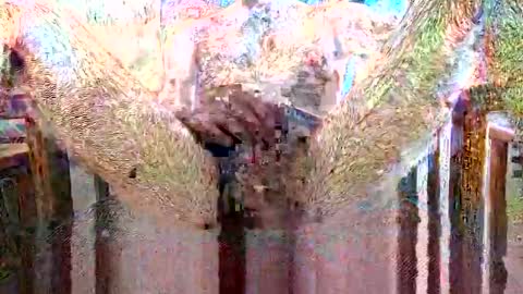 blouroux online show from September 14, 11:45 am