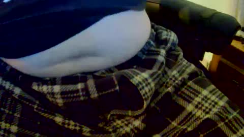 Snapshot of bobbie420_ chatting on December 13, 3:16 am bobbie420_ online show from December 13, 3:16 am