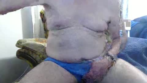 bolbil1 online show from October 1, 1:37 pm