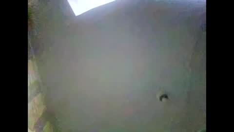 Snapshot of bonop1 chatting on January 11, 3:52 pm bonop1 online show from January 11, 3:52 pm