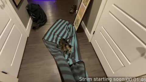 Booker Baxton online show from April 10, 3:13 am