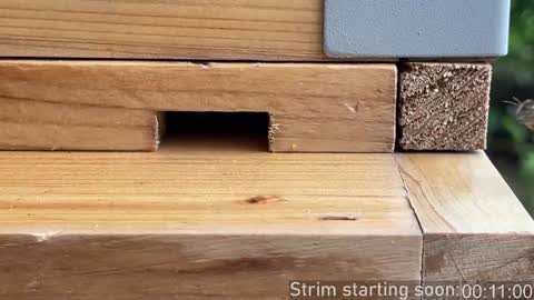 Booker Baxton online show from October 22, 2:59 am