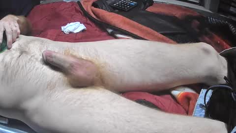 bornwild13 online show from November 11, 10:20 am