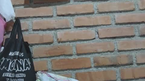 Boy online show from January 16, 12:46 am