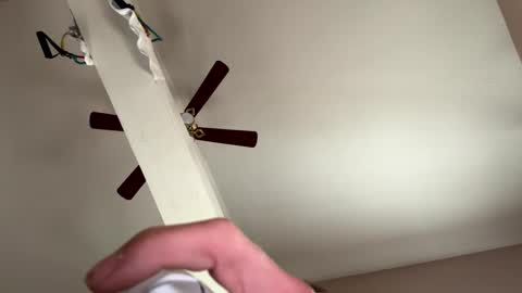 boysetsfire34 online show from December 23, 6:27 pm