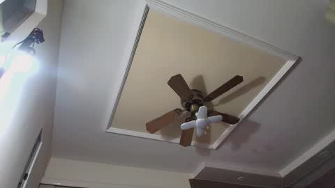 bradkith27 online show from November 26, 2:25 am