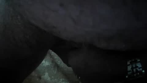 bravermann1 online show from September 12, 12:27 pm