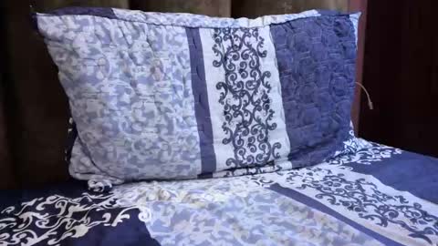 brownie_cake online show from March 21, 9:03 am