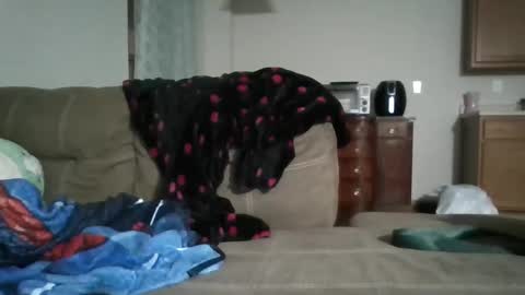 Bud42o online show from September 9, 4:56 am