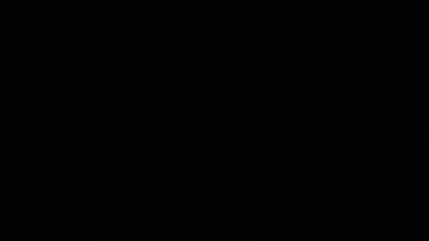 Charly online show from April 19, 3:22 pm