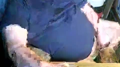 canoelicker69 online show from January 9, 8:36 pm