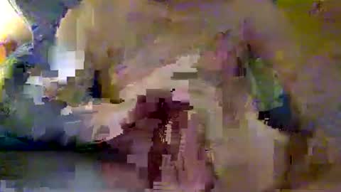 Snapshot of captain8inches chatting on December 9, 5:24 pm Captain 8 Inches online show from December 9, 5:24 pm