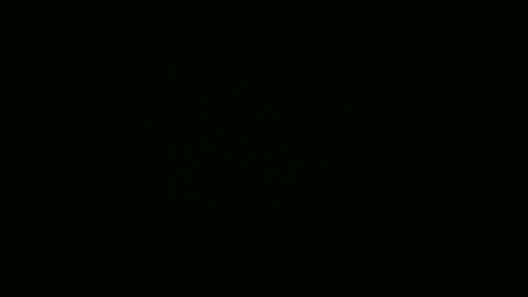 Caravaggiani online show from February 8, 8:53 am