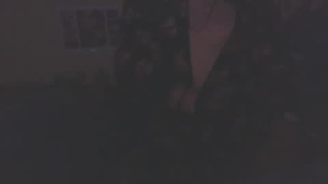 lee online show from October 23, 2:04 am