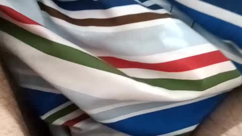 chaturbat10cm online show from February 28, 8:41 pm