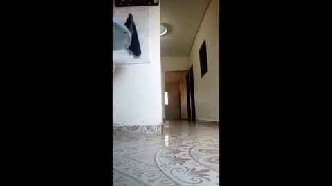 chocolatinajet25 online show from April 11, 10:13 pm