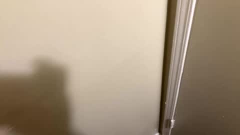 chubbydl69 online show from April 26, 10:50 pm