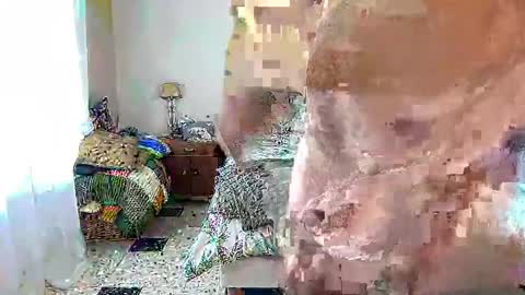 cmapetitebite online show from February 7, 12:12 pm