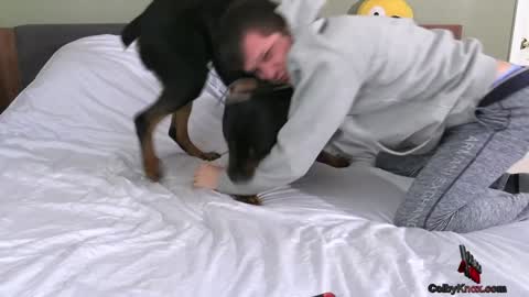 colbyknox online show from January 24, 11:34 pm