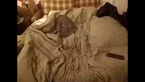 coopstone online show from February 24, 1:31 pm