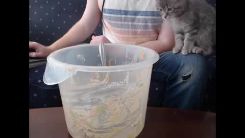 copper_crotch online show from November 29, 6:43 pm