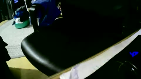 coyote017 online show from December 17, 6:09 pm