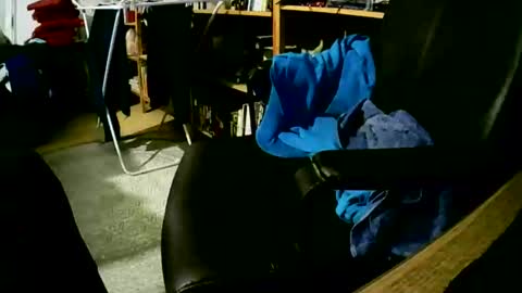 coyote017 online show from February 15, 6:33 am