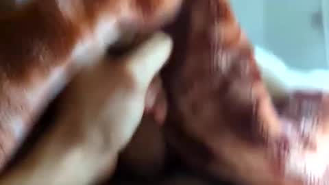 creift online show from March 9, 10:19 am