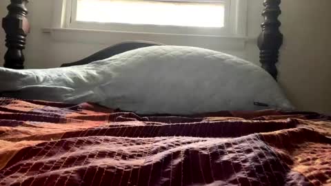 Curiousperformance online show from December 4, 1:53 pm