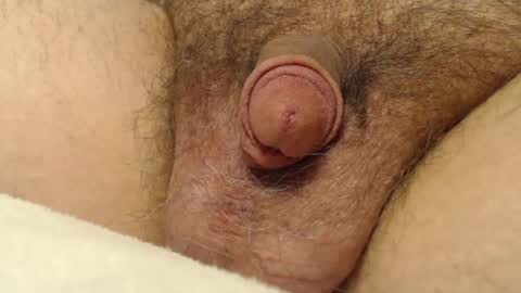 curve66 online show from December 4, 3:35 am