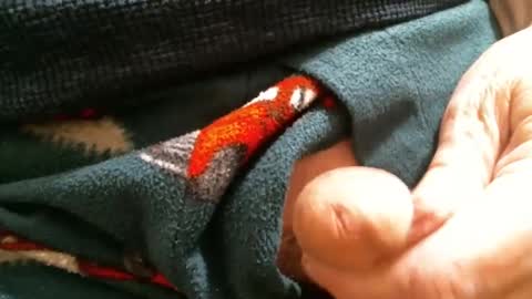 BI SMOOTH MATURE  SUB online show from January 29, 2:10 pm