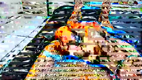 d130213 online show from March 3, 5:26 am