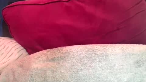 daddyy008 online show from September 10, 9:57 pm